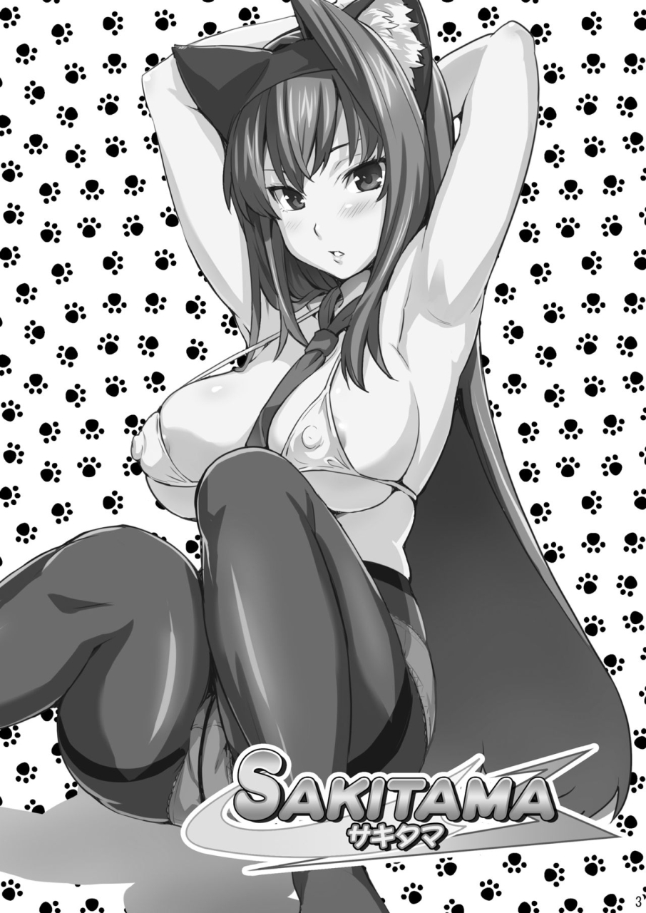shinjugai-takeda-hiromitsu-sakitama-arcana-heart-decensored-digital