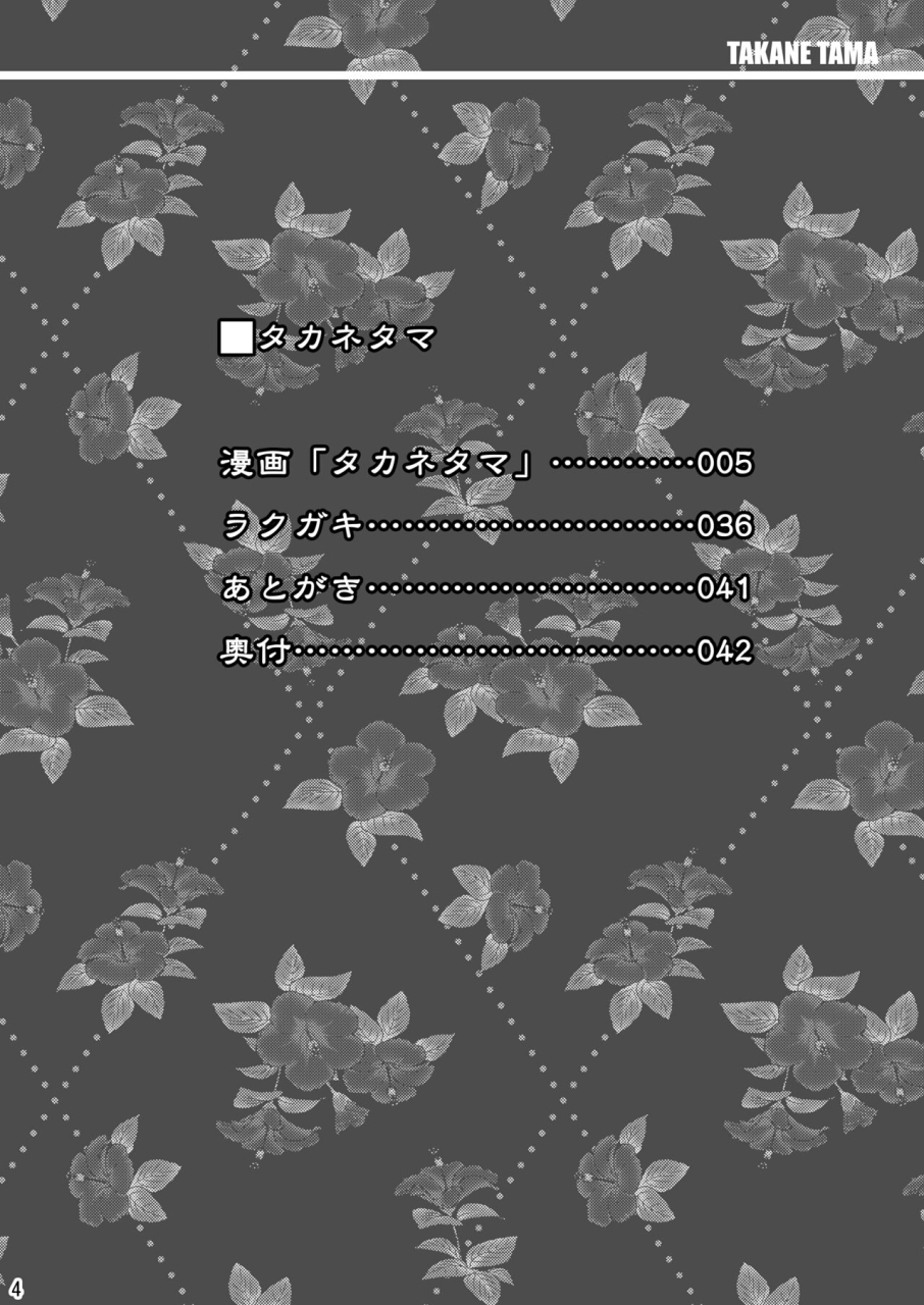 shinjugai-takeda-hiromitsu-takane-tama-sora-wo-kakeru-shoujo-english-digital-decensored