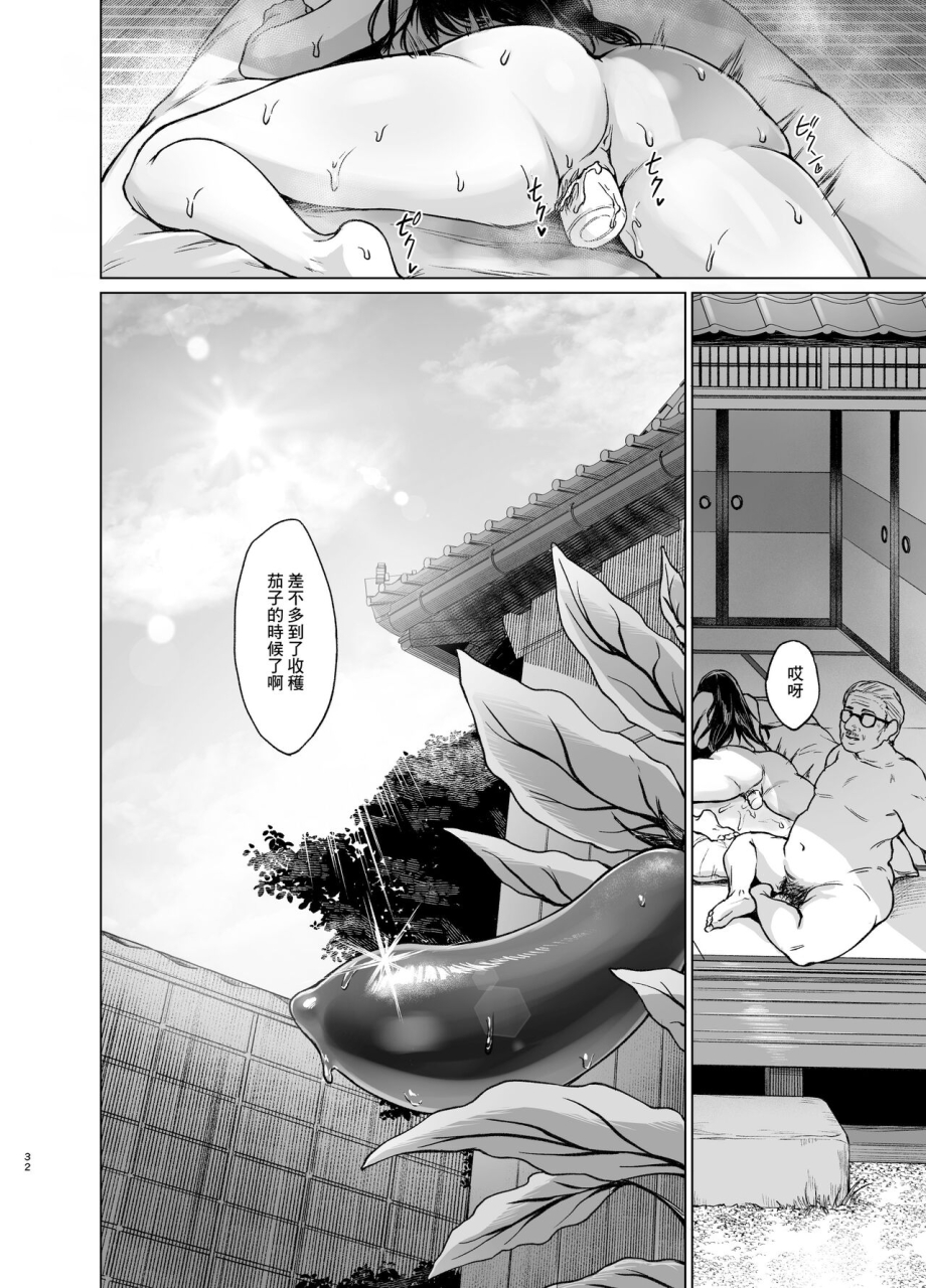 toushitu-catapult-tadano-mezashi-natsu-inaka-kaeri-no-otetsudai-chinese-decensored-digital