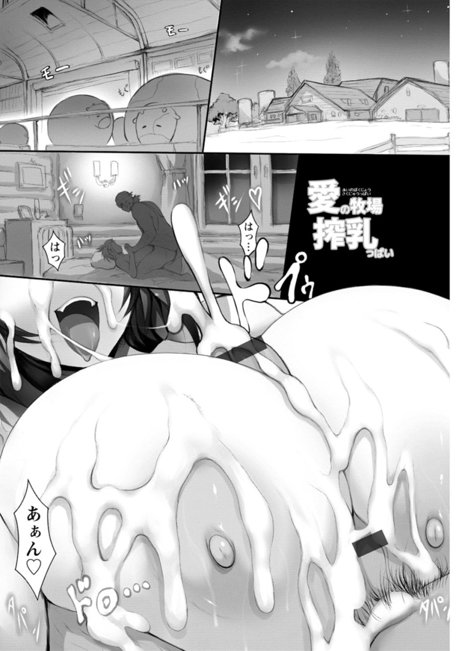 tsukasawa-tokumori-chou-chichippai