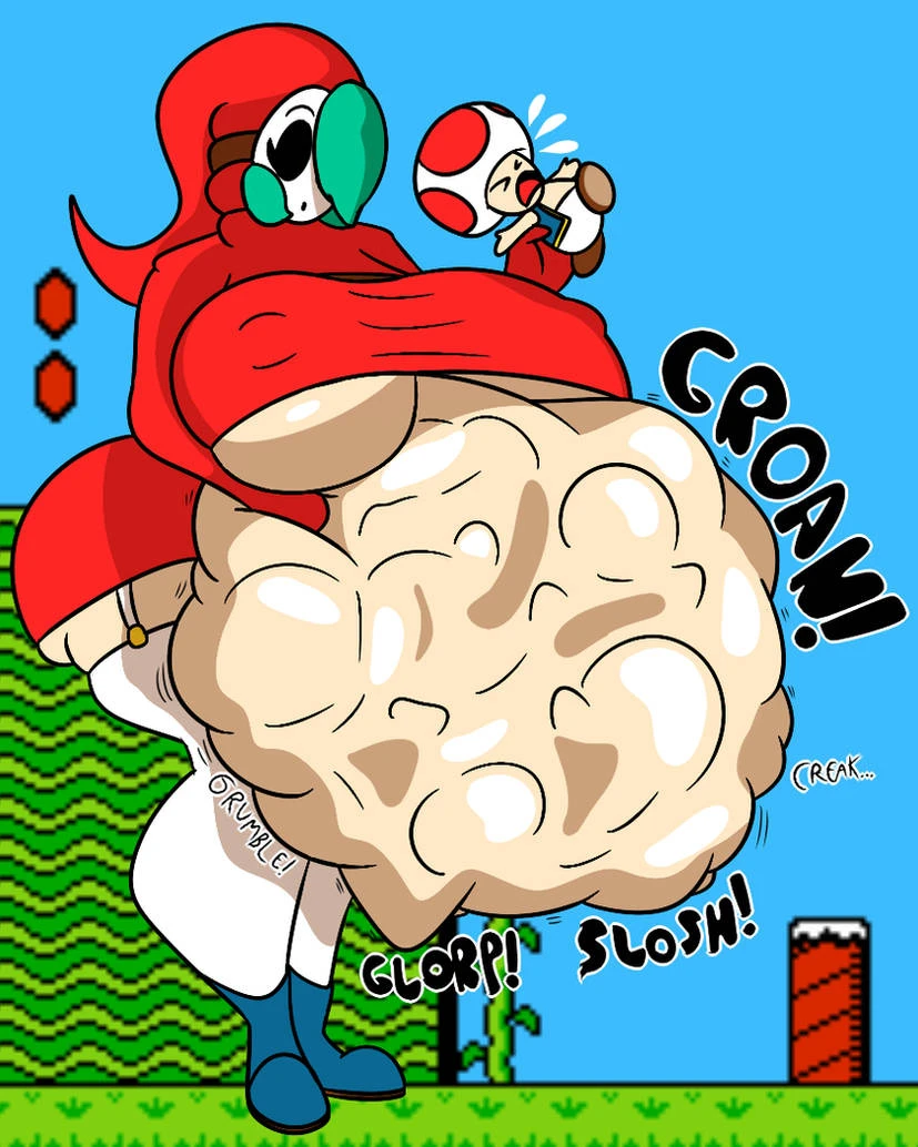 shy-galtoad-mario