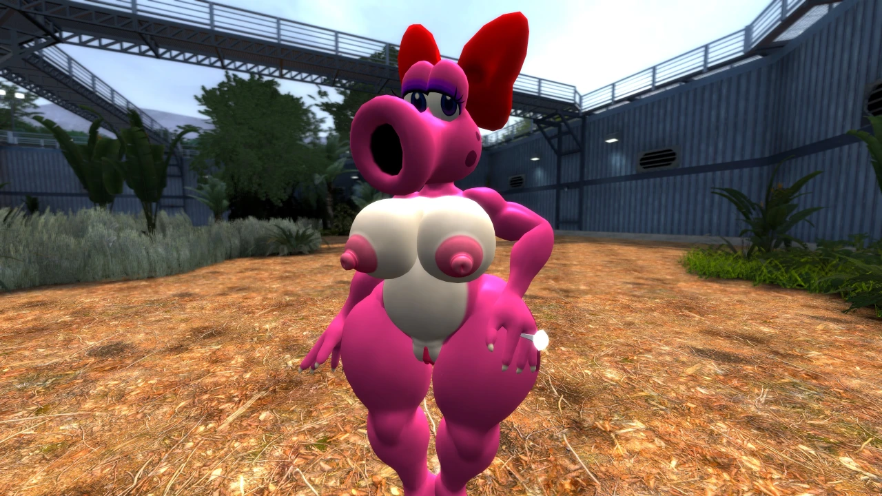 birdo