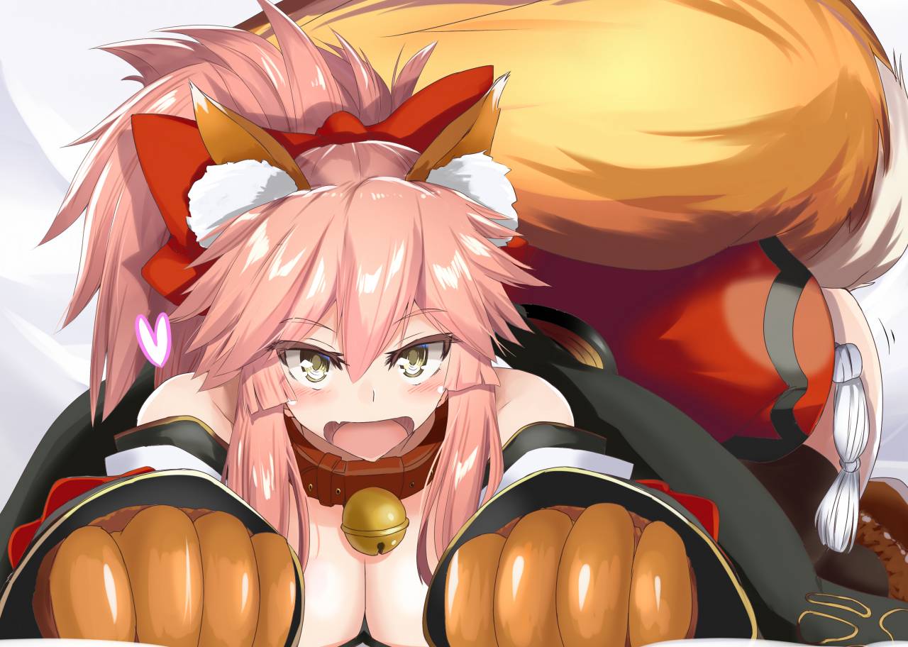 tamamo-fate-alltamamo-cat-fate