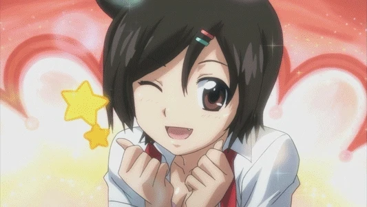 sakurai-tomokisakurai-tomoko