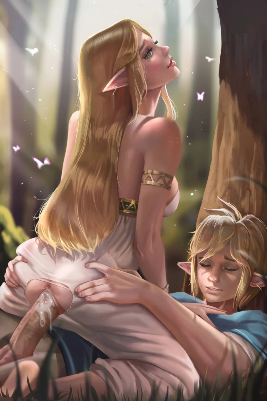 linkprincess-zeldazelda-breath-of-the-wild
