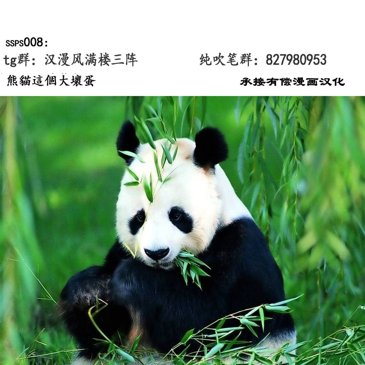 c72-shiawase-pullin-dou-ninroku-package-meat-queens-blade-chinese-ssps