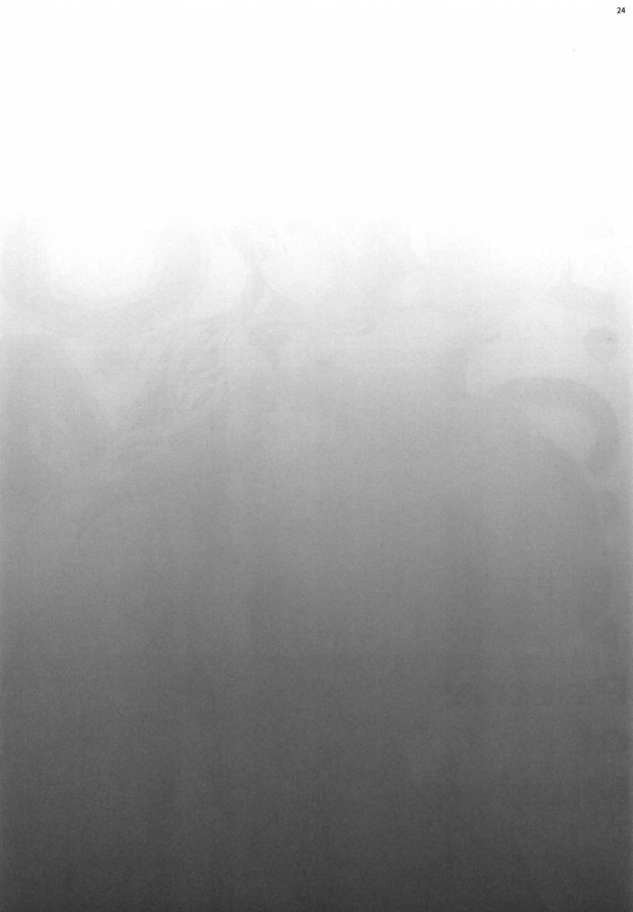 comic115-kocho-kocho-koukou-bonten-pom-soushuuhen-one-piece