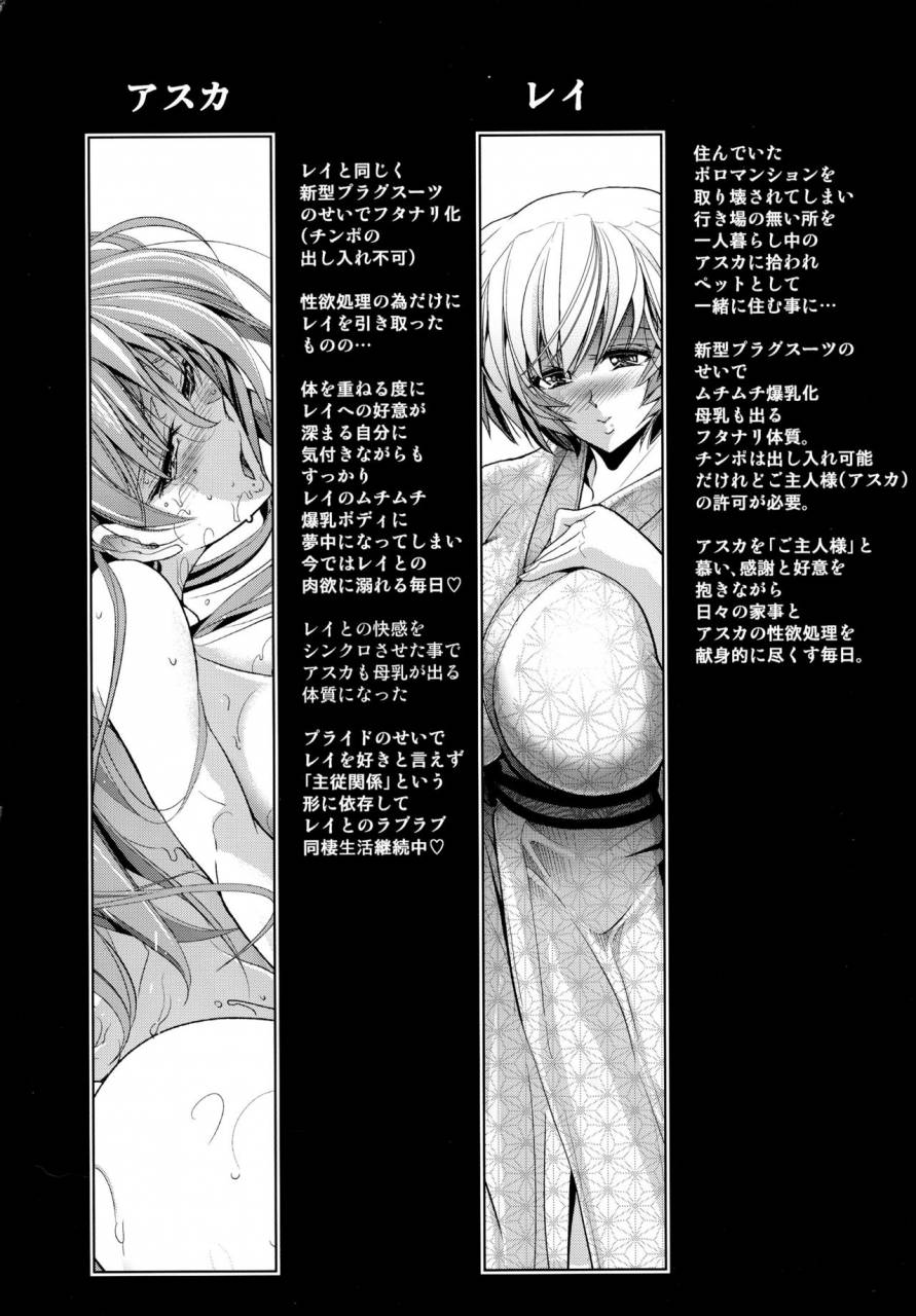 c91-kawaraya-honpo-kawaraya-a-ta-pokapoka-onedari-onsen-neon-genesis-evangelion