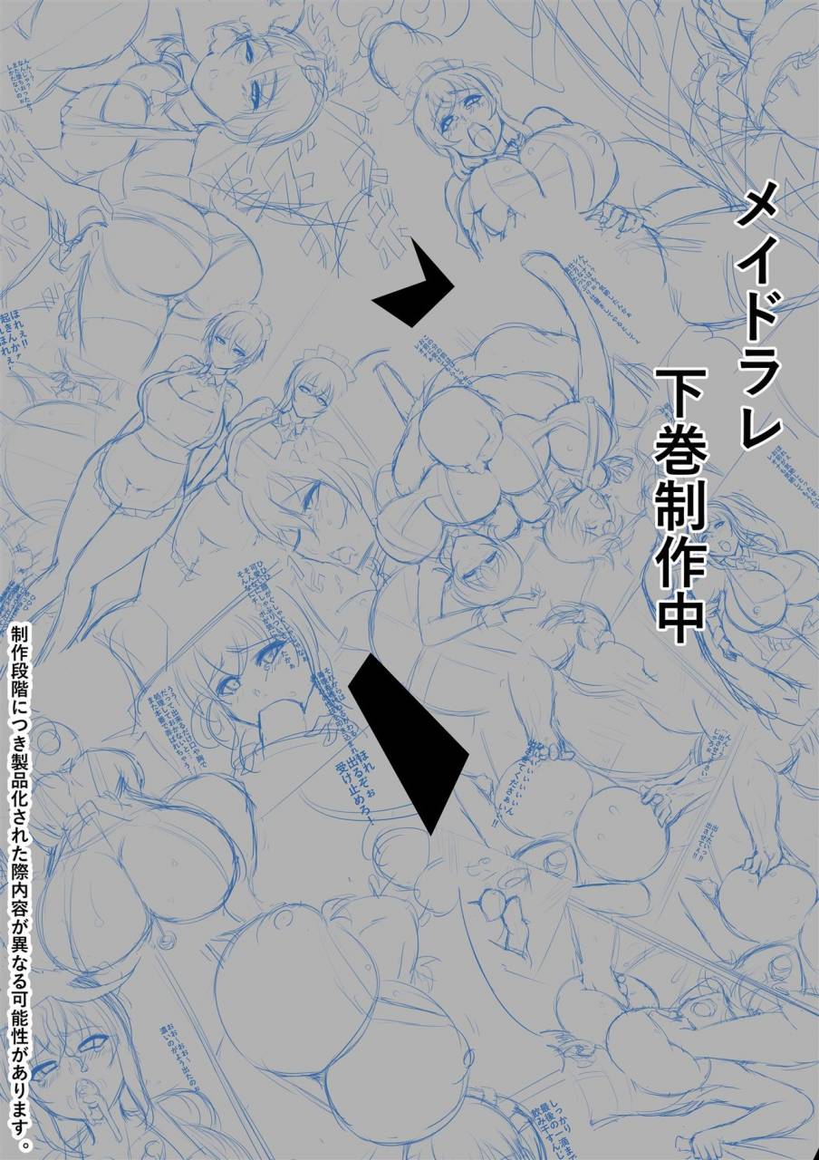 nekohachi-eigyoubu-neko-samurai-maidorare-jou