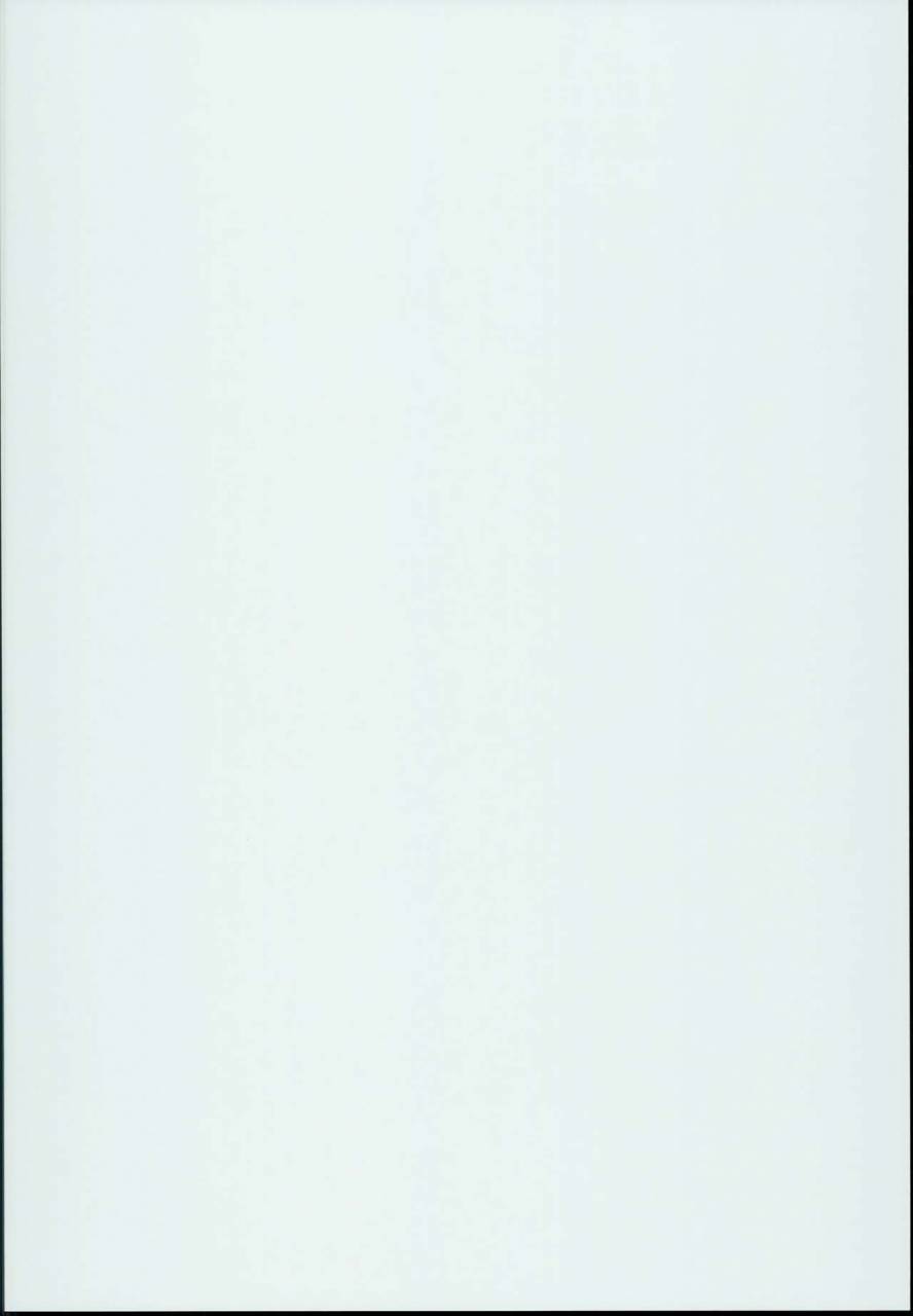 c94-aodouhu-neromashin-houjou-no-reizoku-elf-4