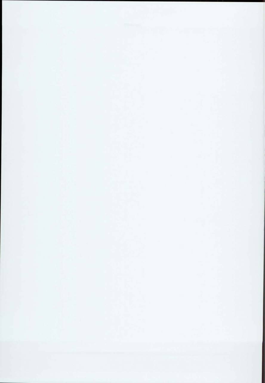 c94-aodouhu-neromashin-houjou-no-reizoku-elf-4