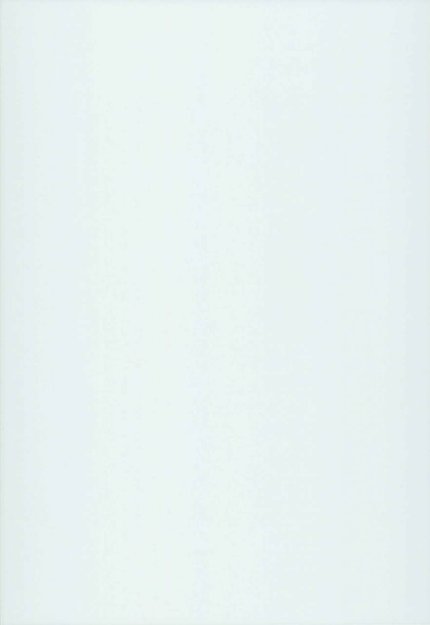 c94-aodouhu-neromashin-houjou-no-reizoku-elf-4-english-progste