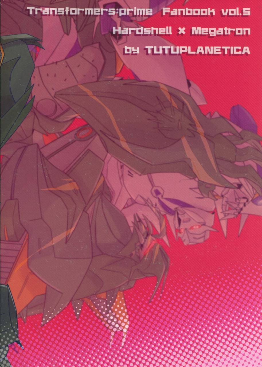 ayaharu-tane-fesu-tanetsuke-fesutibaru-tutuplanetica