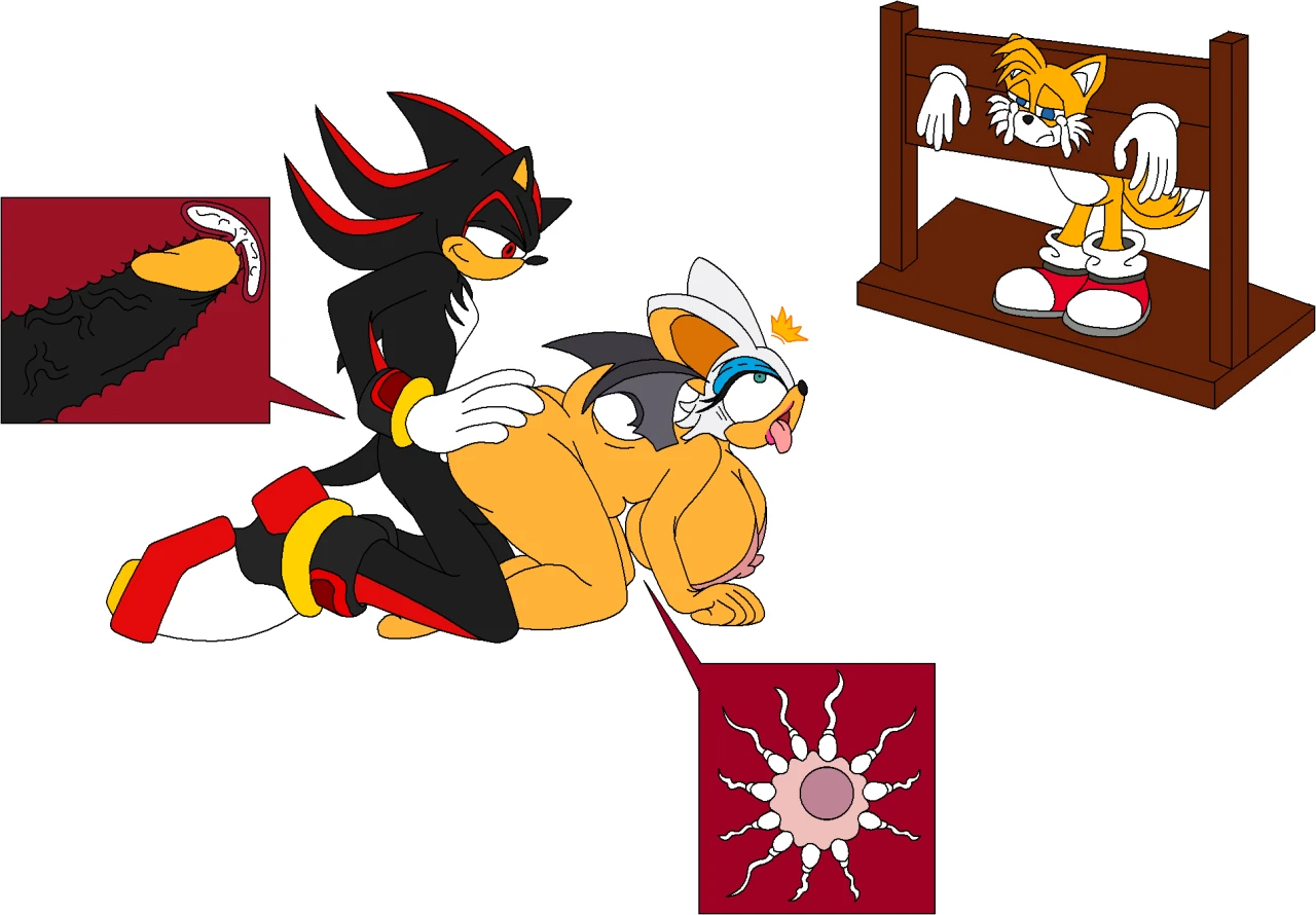 rouge-the-batshadow-the-hedgehogtails