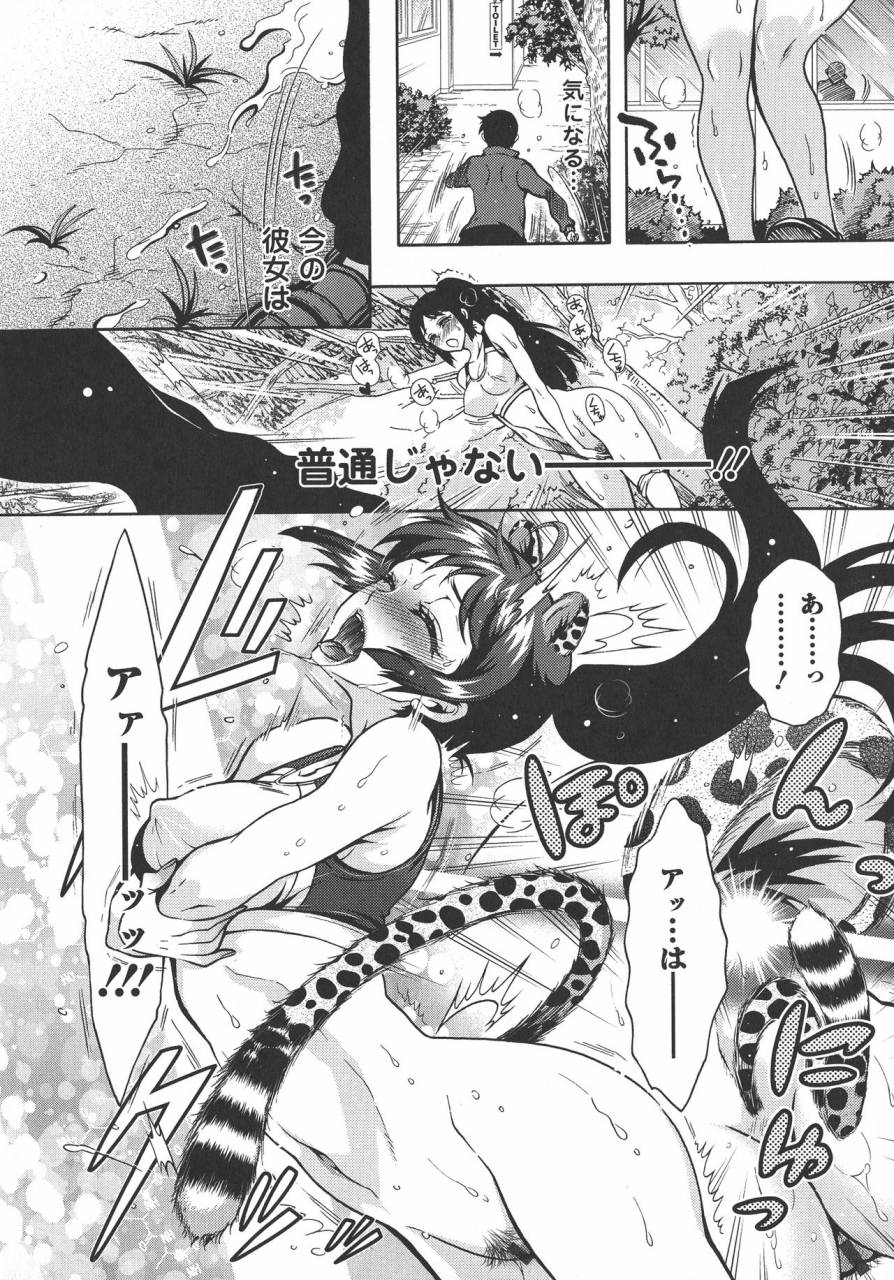 honda-arima-chouchou-nikushokukei-joshi