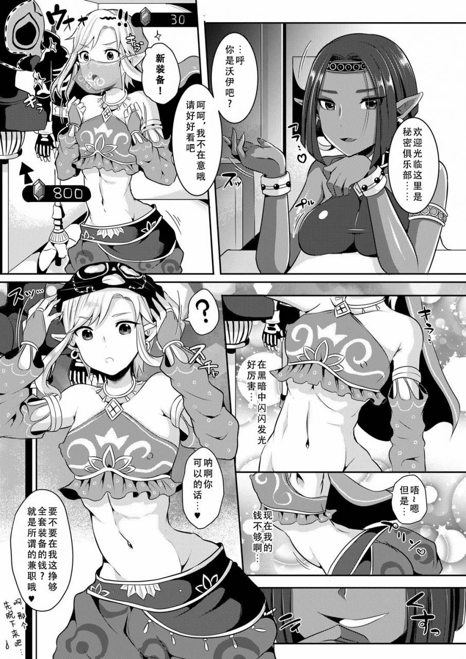 maltese-runrun-eiketsu-yuusha-no-himitsu-arbeit-the-legend-of-zelda-chinese-digital