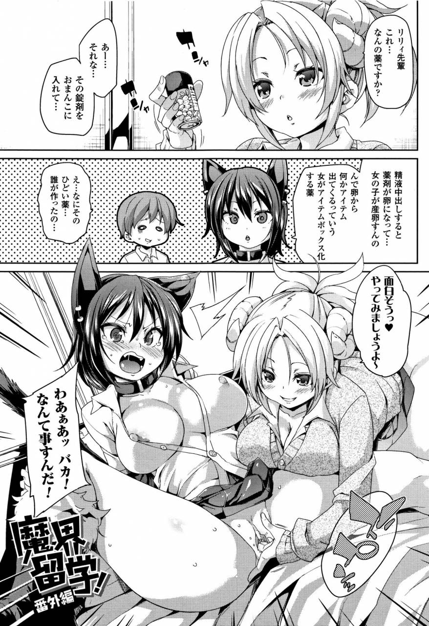 marui-maru-ran-drop-melonbooks-leaflet