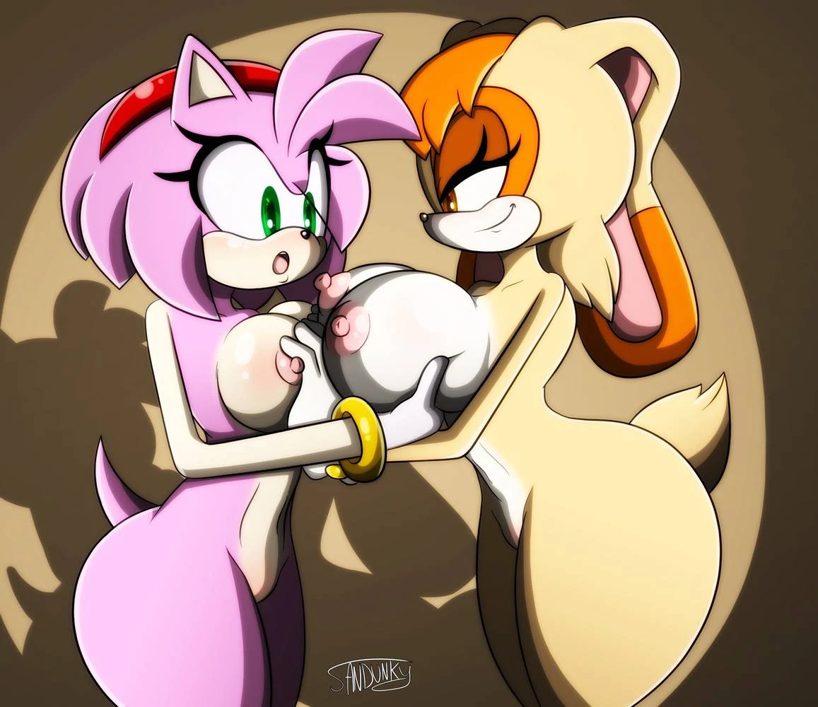 amy-rosevanilla-the-rabbit