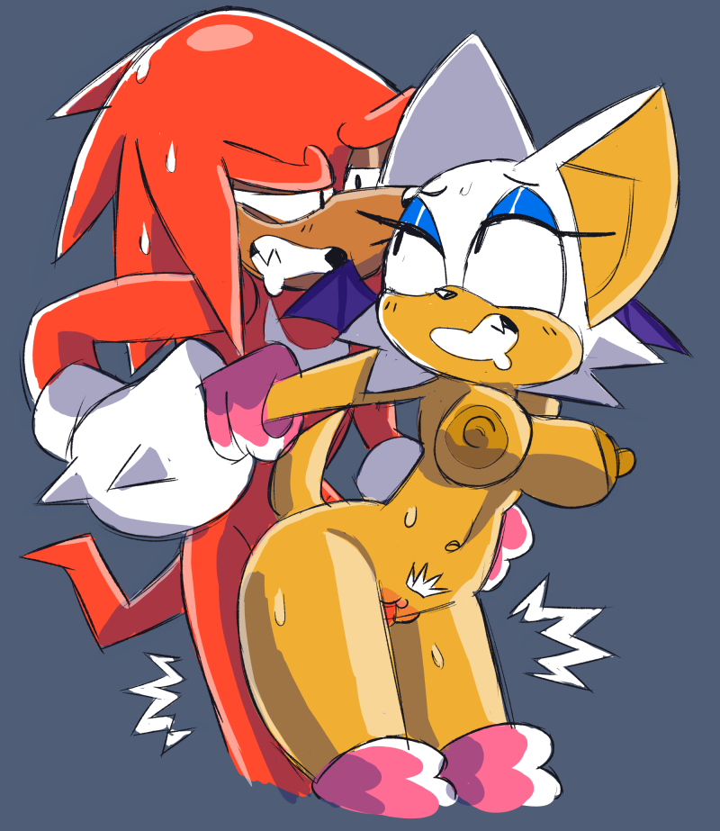 knuckles the echidna+rouge the bat.