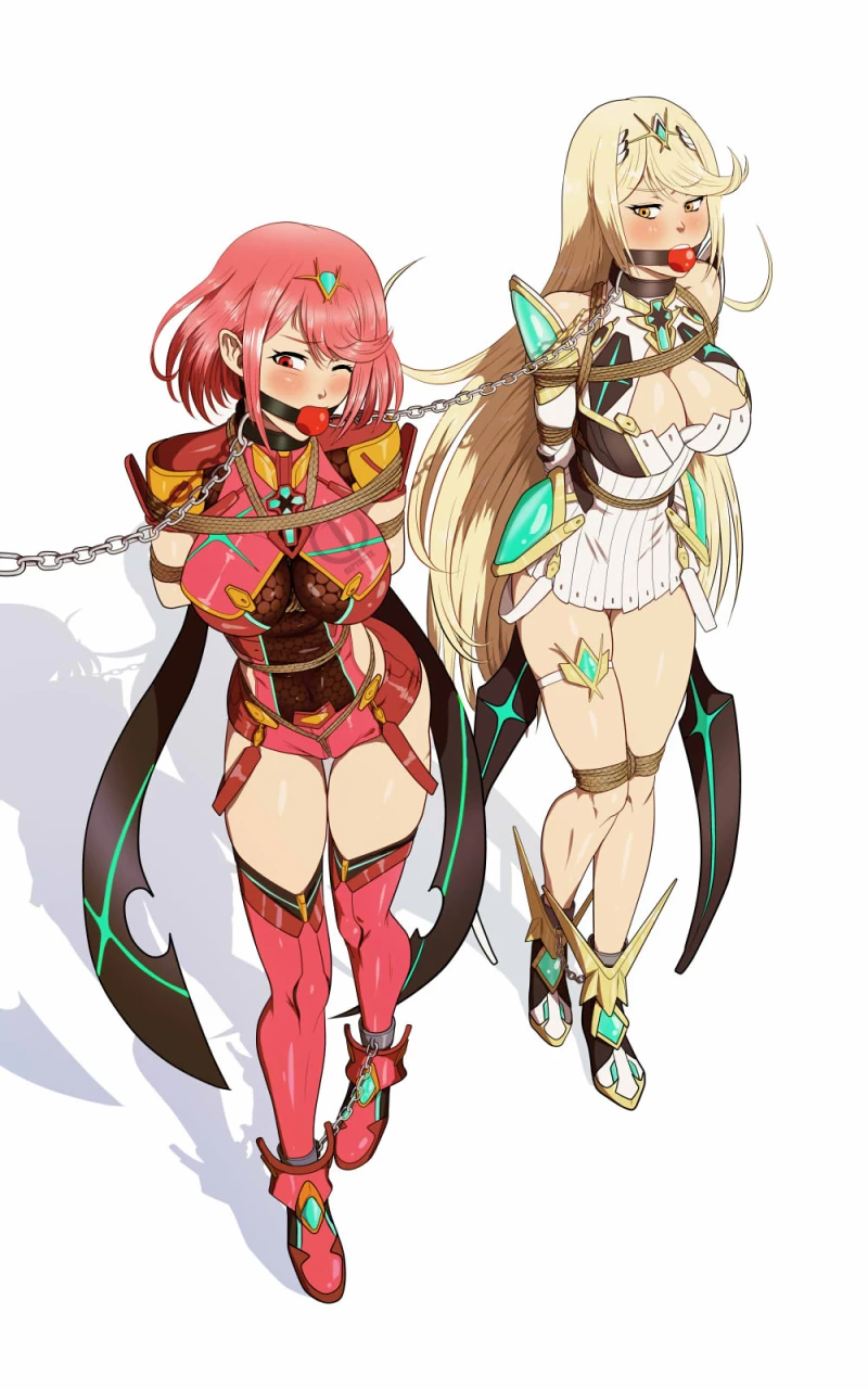 hikari-xenoblade-2homura-xenoblade-2mythrapyra