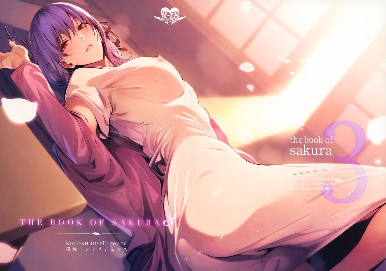 c96-kodoku-intelligence-nanao-the-book-of-sakura-3-fatestay-night-english-zaibatsu