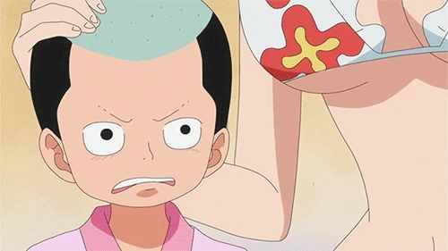 momonosuke-one-piecenami-one-piece