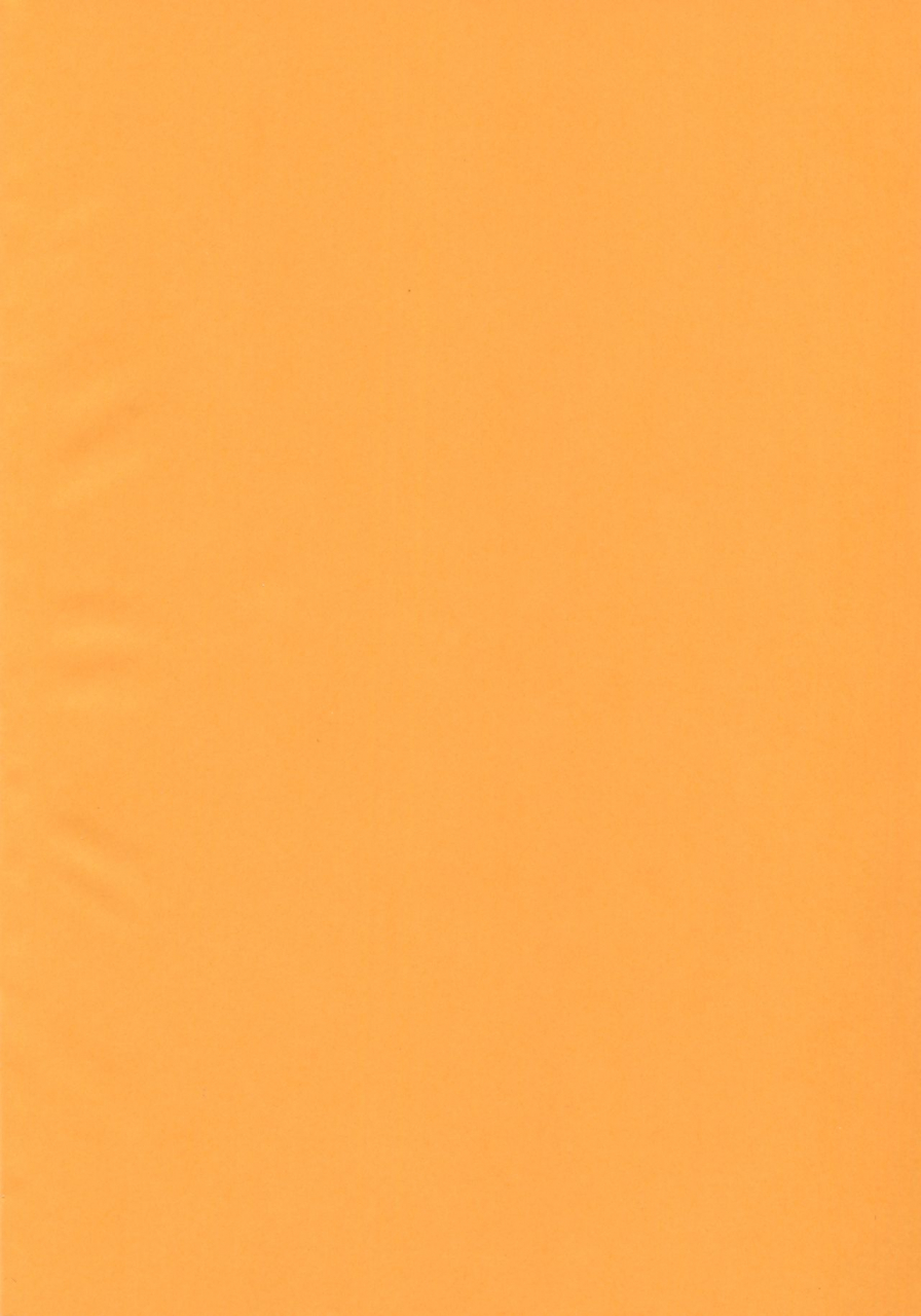 c95-elie-houman-megami-ga-mizugi-ni-kigaetara-fategrand-order