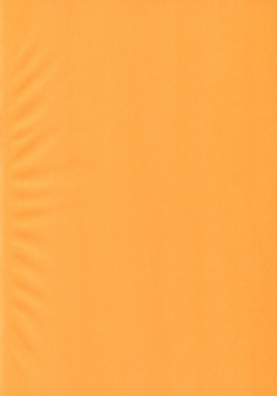 c95-elie-houman-megami-ga-mizugi-ni-kigaetara-fategrand-order