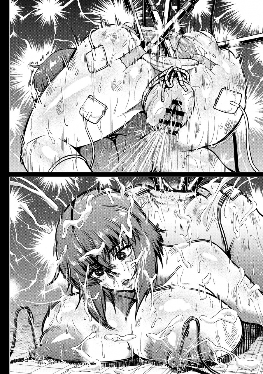 ahemaru-shousa-dennou-hack-sareru-no-maki-ghost-in-the-shell