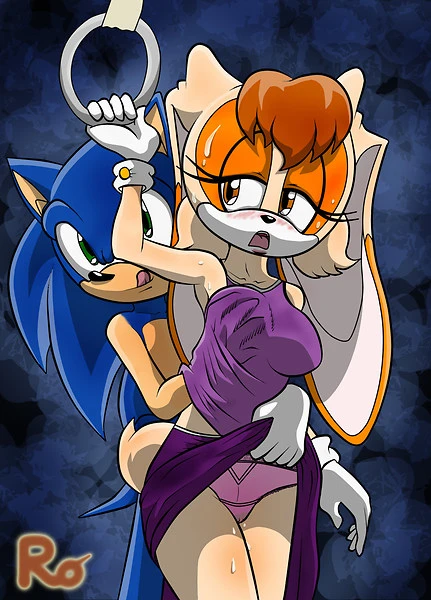 sonic-the-hedgehogvanilla-the-rabbit