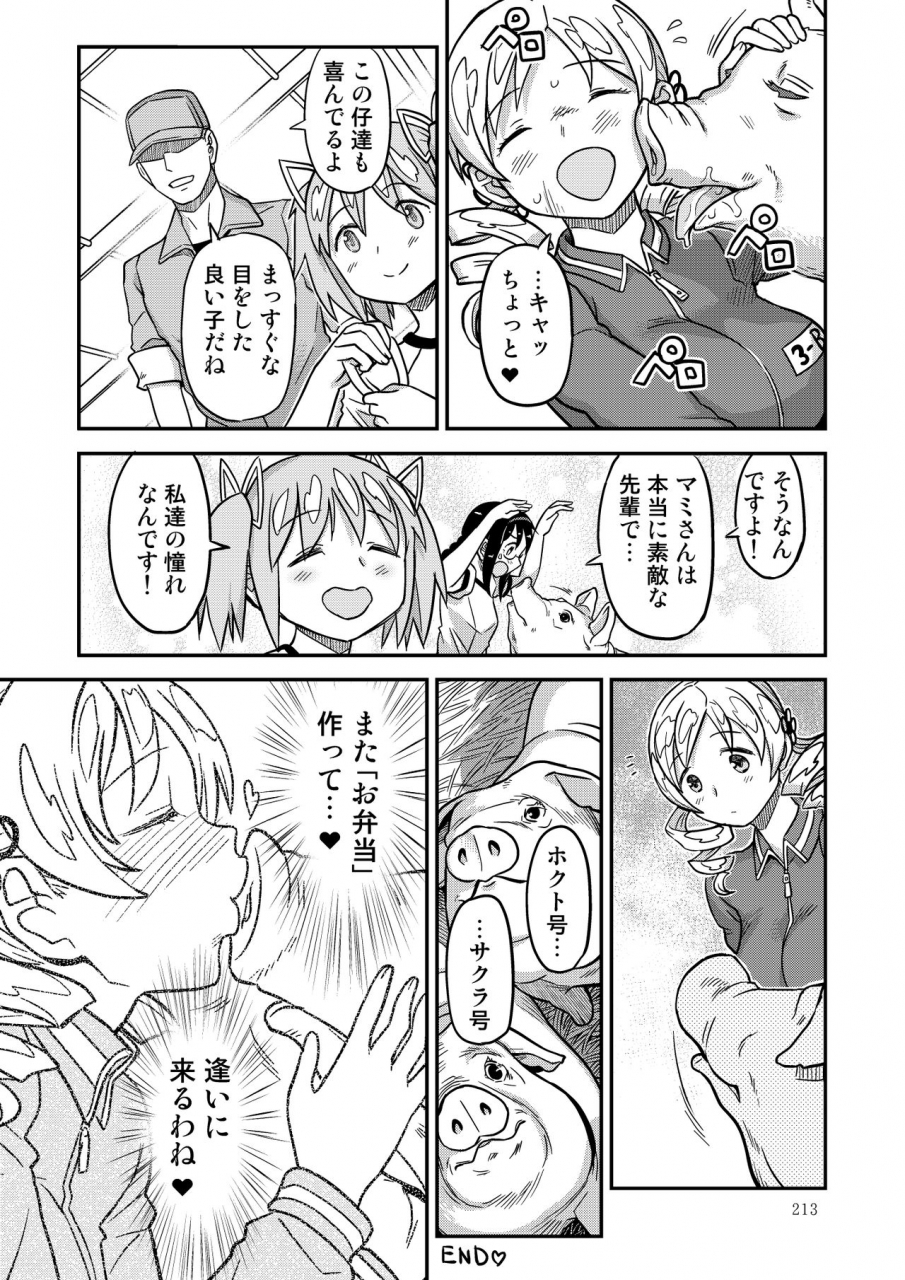 gadget-a-10-kongan-tanetsuke-koushuu-benjo-puella-magi-madoka-magica