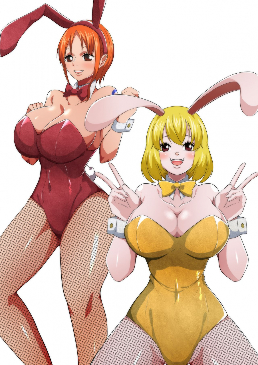 q-doujin-bunny-service-one-piece-english-doujinscom
