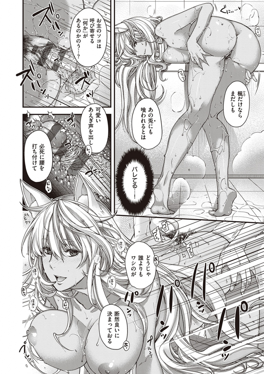 hiyoshi-hana-meguriai-no-kemono-digital