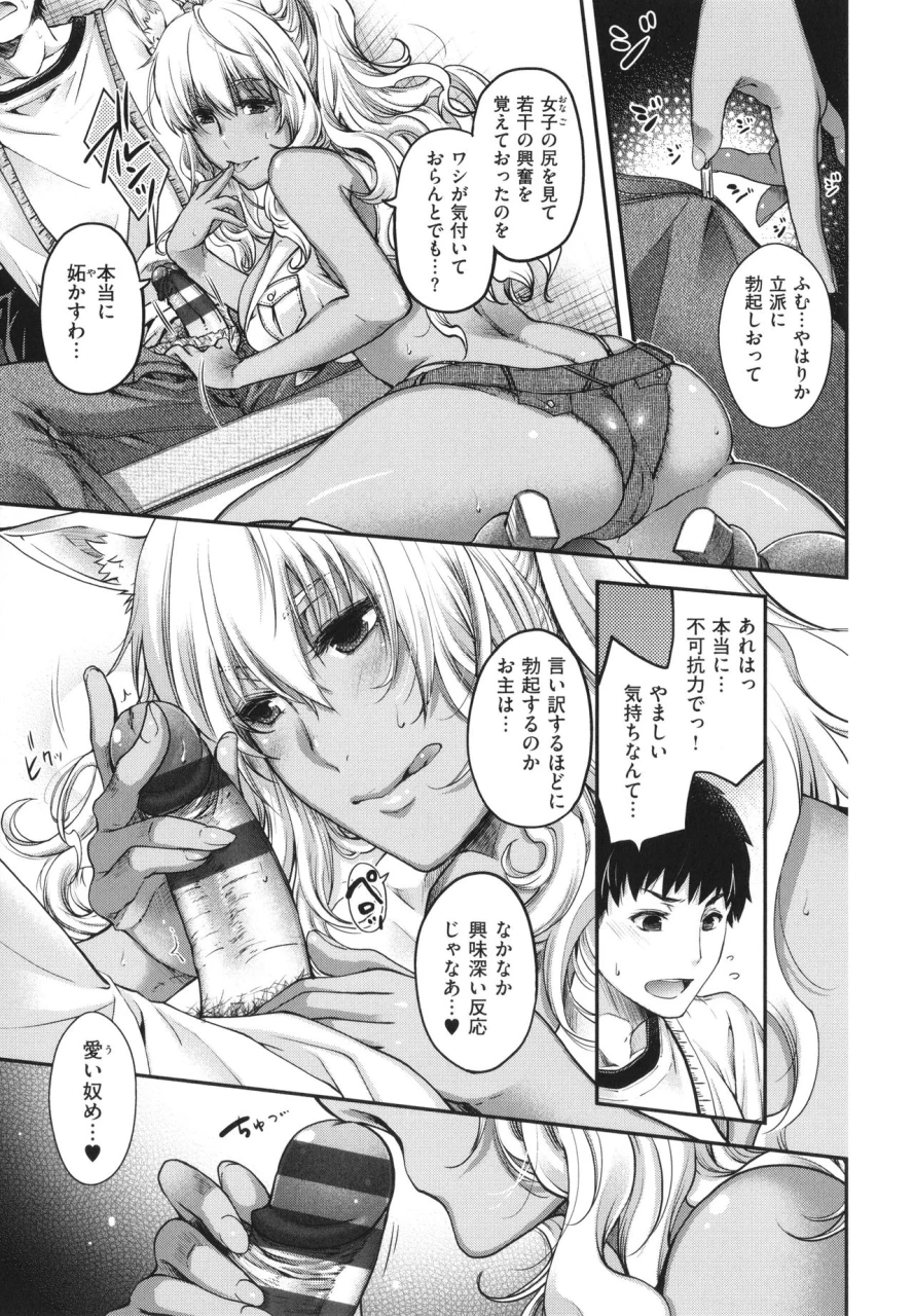hiyoshi-hana-meguriai-no-kemono
