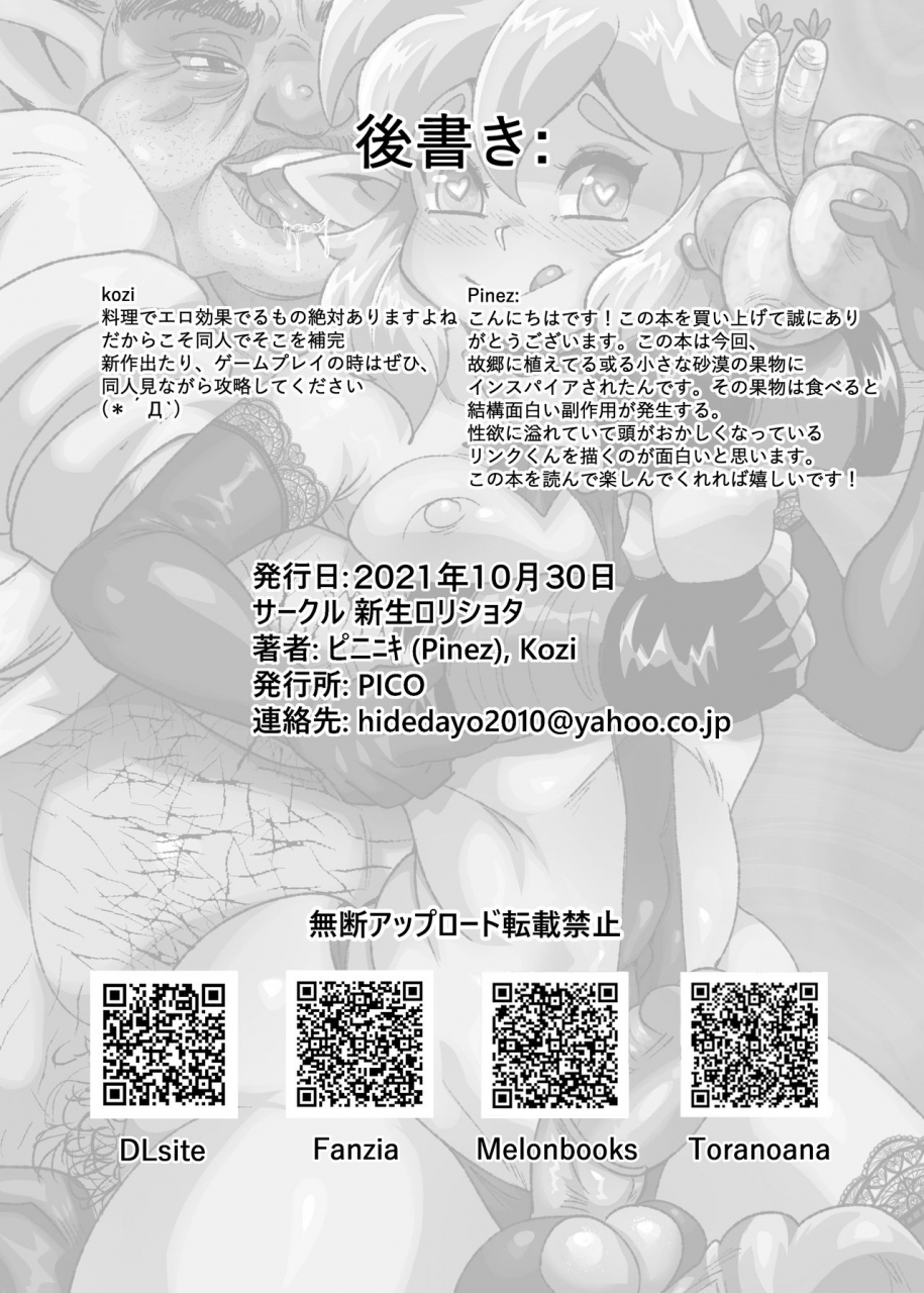 shinsei-lolishota-pinez-kozi-bishounen-to-aru-kimyou-na-mi-the-legend-of-zelda