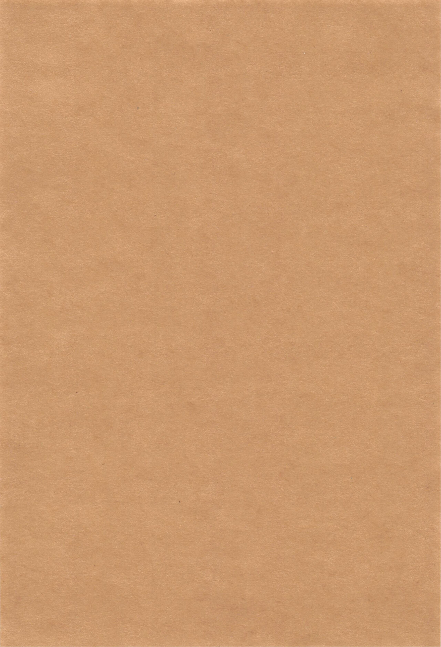 c99-manmanya-titiduki-yamiyo-ni-tomoshibi-fategrand-order-chinese