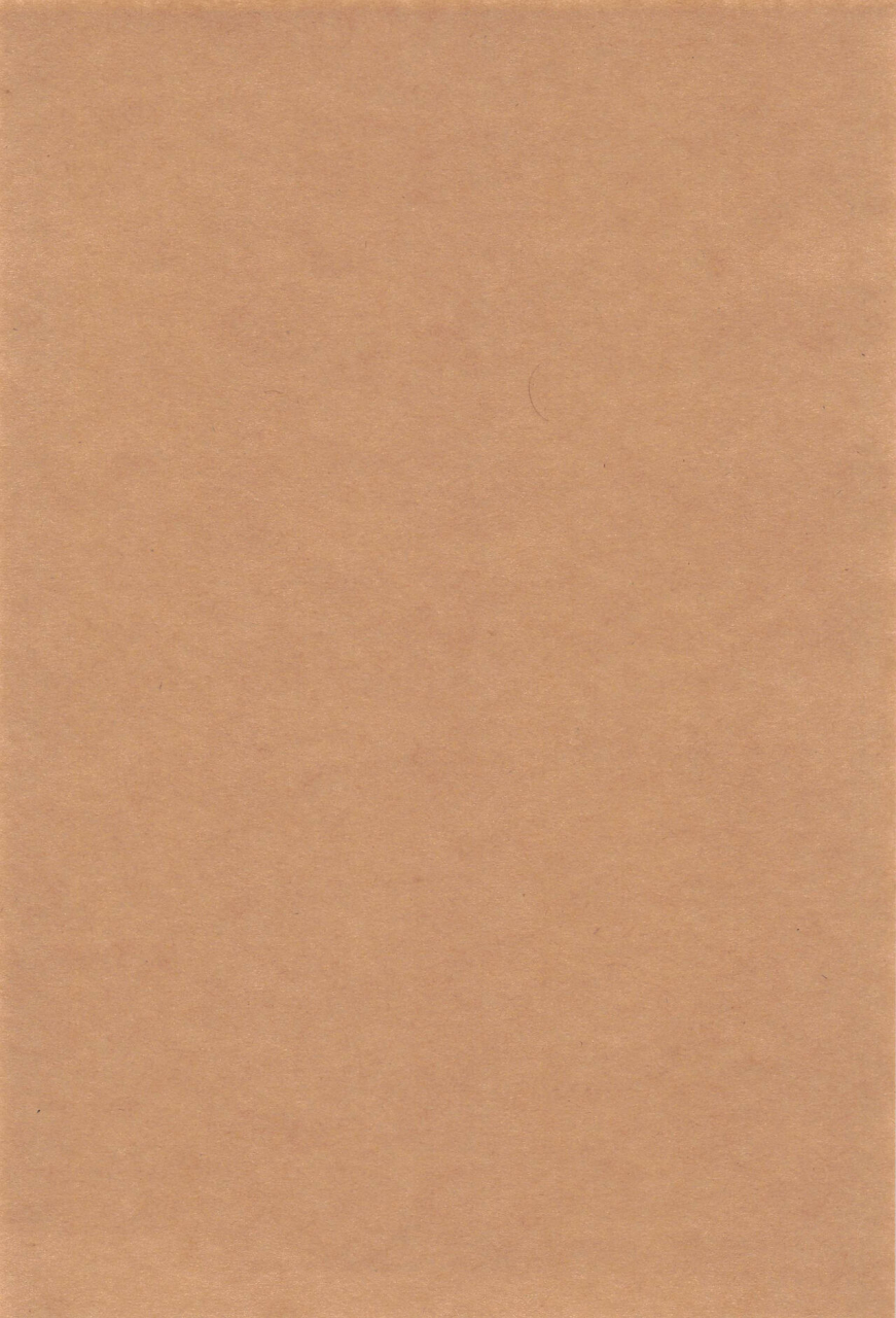 c99-manmanya-titiduki-yamiyo-ni-tomoshibi-fategrand-order-chinese