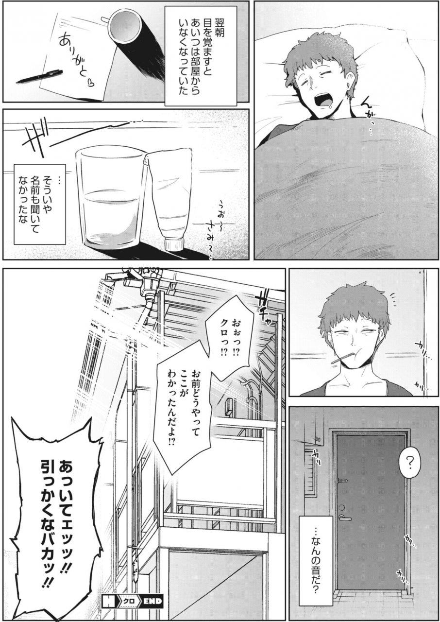 comic-hotmilk-2022-04-digital