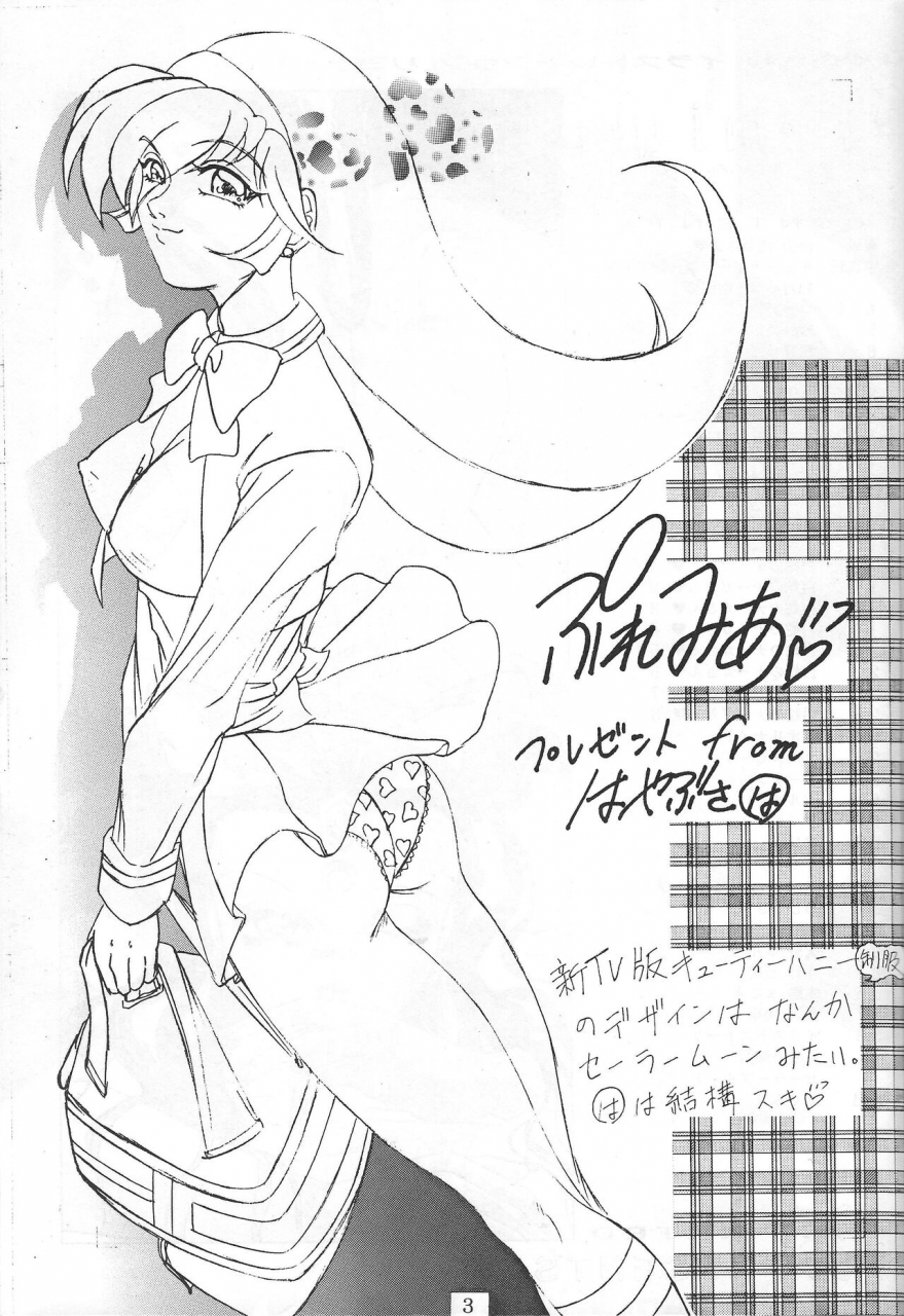 dress-hayabusa-shingo-premium-various