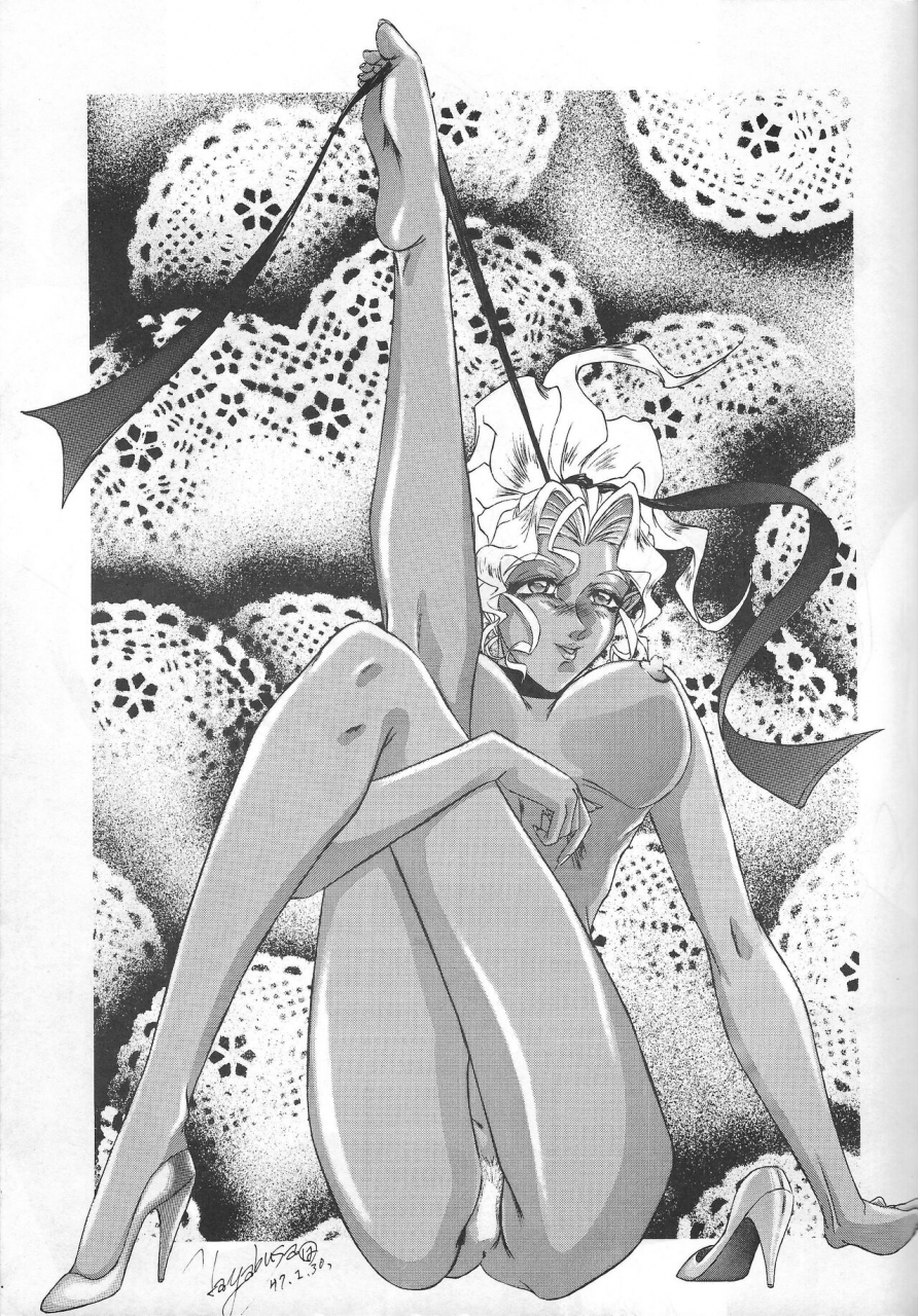 dress-hayabusa-shingo-premium-various