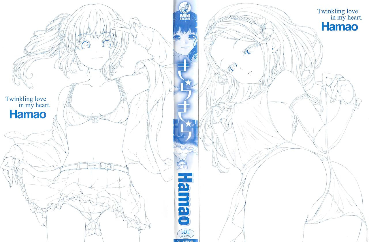 hamao-kira-kira-chinese