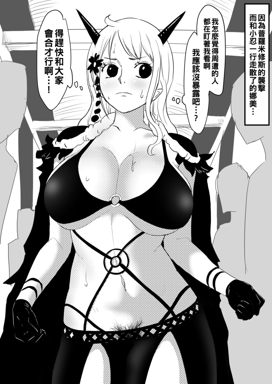 iwao-benjo-nami-to-iroiro-one-piece-chinese