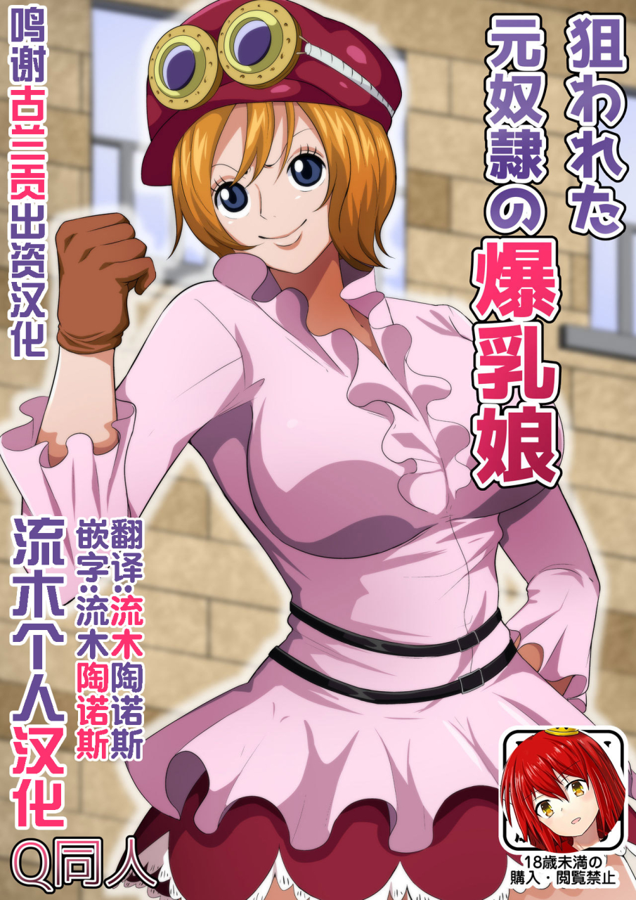 q-doujin-nerawareta-moto-dorei-no-bakunyuu-musume-one-piece-chinese