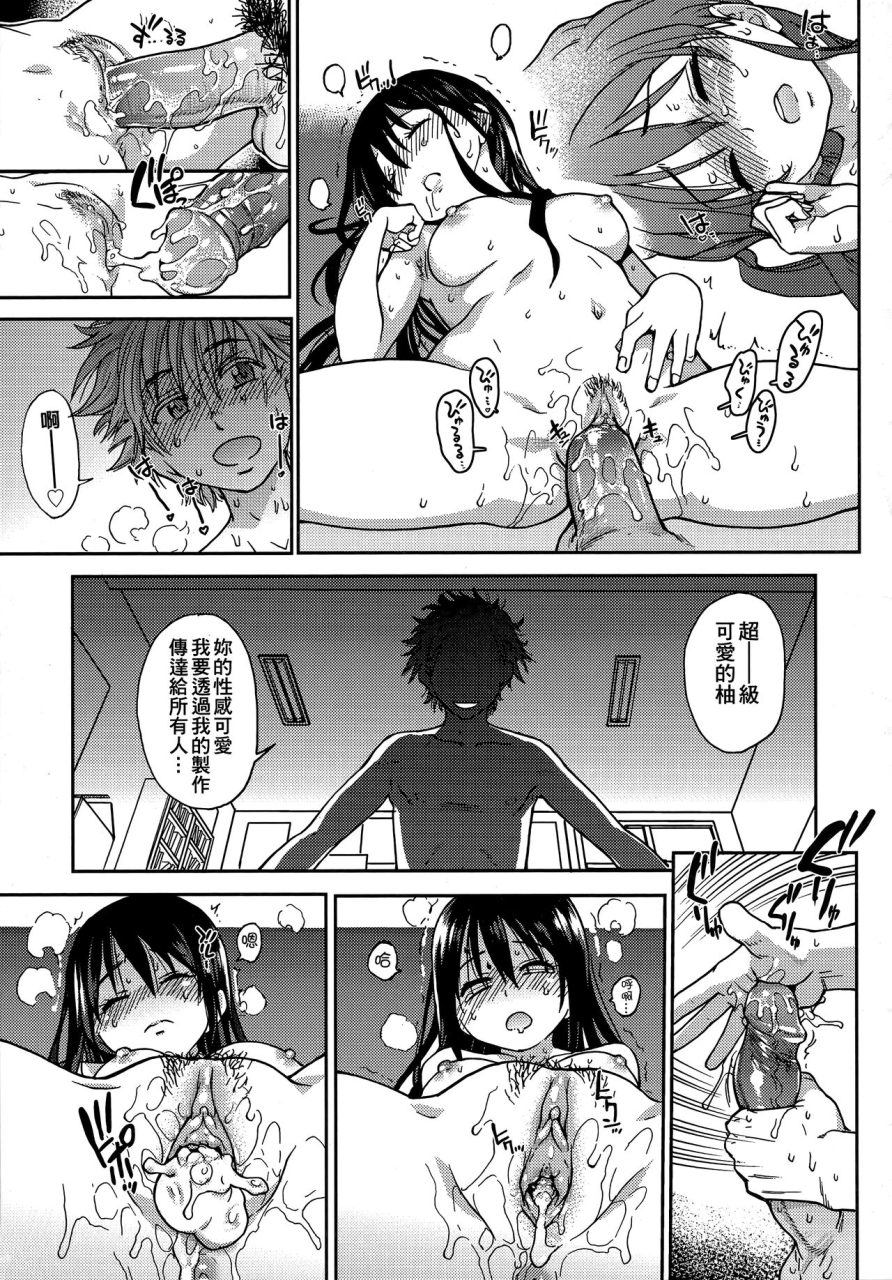 shiwasu-no-okina-aibuka-kari-chinese