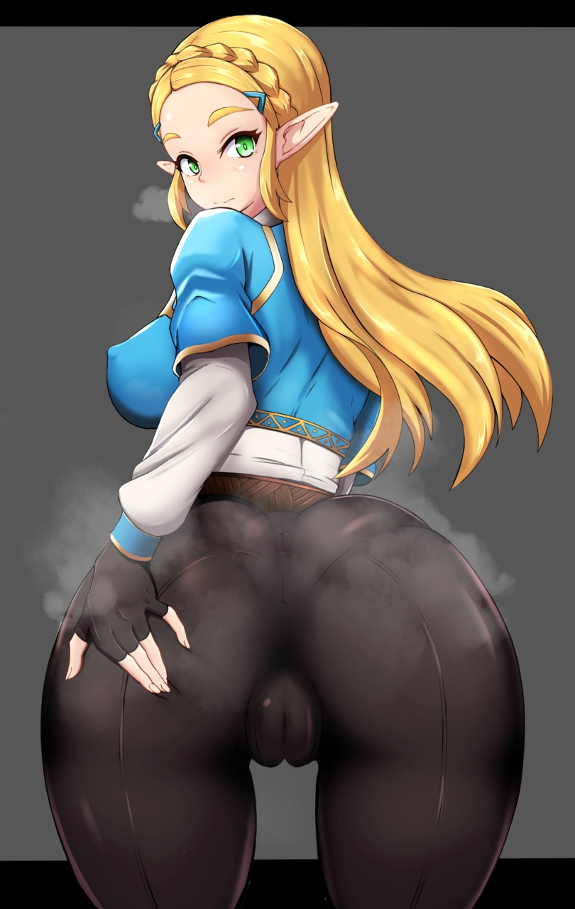 princess-zeldazelda-breath-of-the-wild