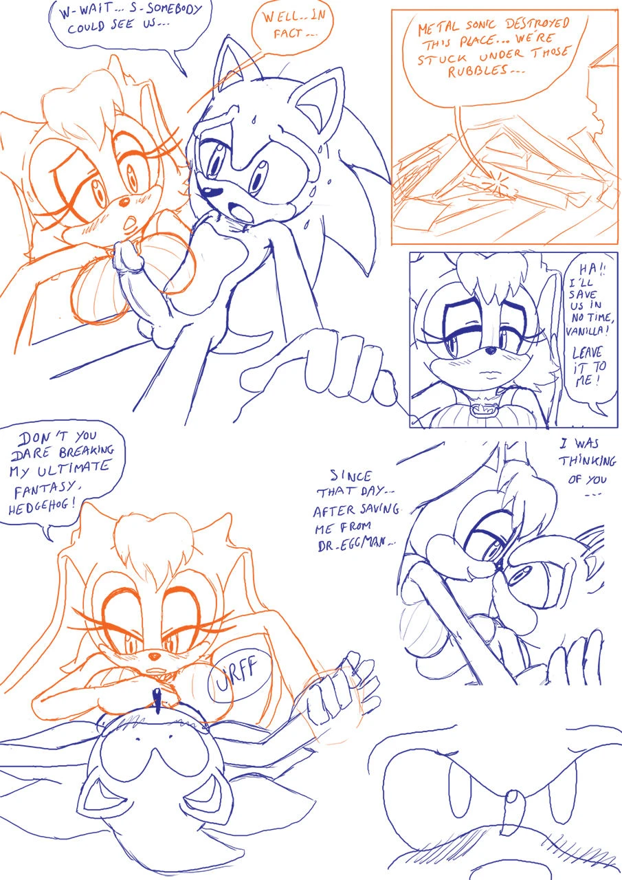 sonic-the-hedgehogvanilla-the-rabbit