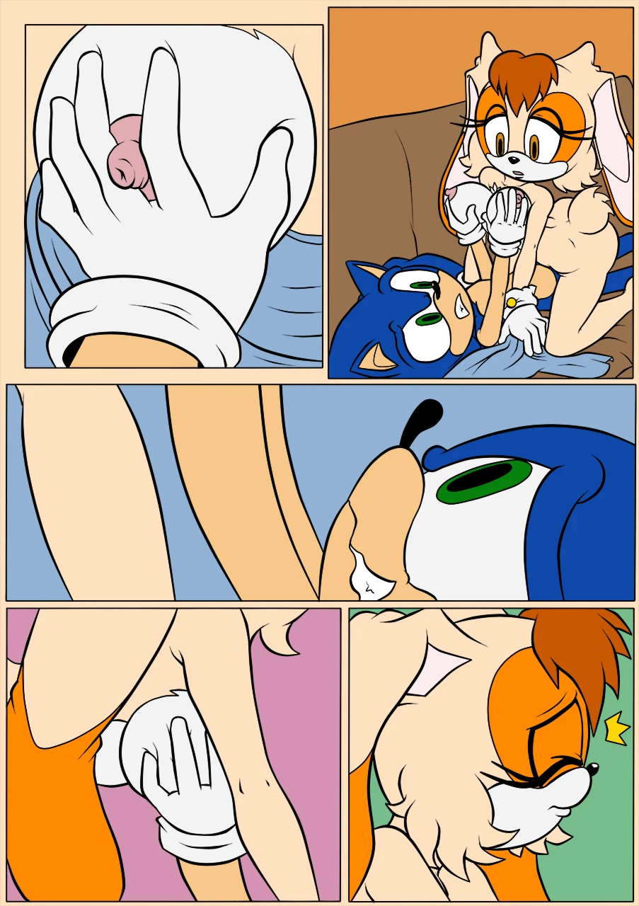 sonic-the-hedgehogvanilla-the-rabbit
