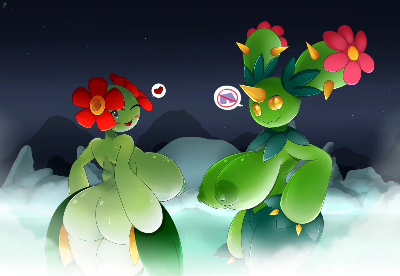bellossommaractus