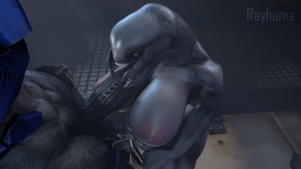 female-sangheilisangheili
