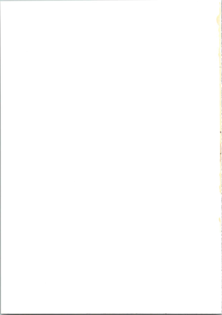 busou-yousei-funato-hitoshi-takeyo-2005-okuma-okusama-wa-mahou-shoujo